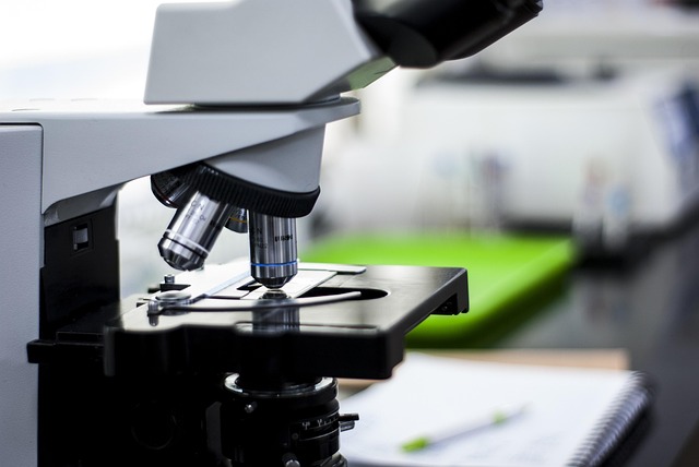 高回彈聚醚在制備高強度、高韌性聚氨酯彈性體中的應用