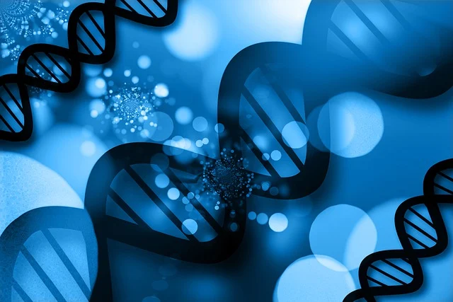 高效聚氨酯硬泡催化劑，確保泡沫快速固化，具有高閉孔率和優異的保溫性能